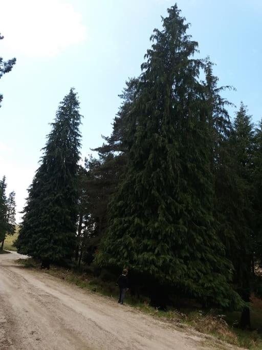 Casa Padre Manuel Do Couto Villa Вила Пука де Агияр Екстериор снимка