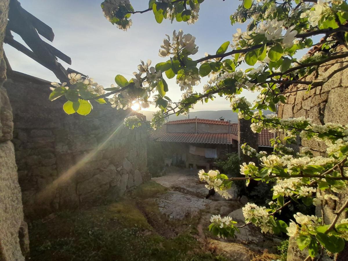 Casa Padre Manuel Do Couto Villa Вила Пука де Агияр Екстериор снимка
